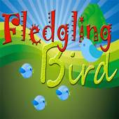 Fledgling Bird 1.0