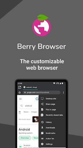 Berry Browser screenshot 1