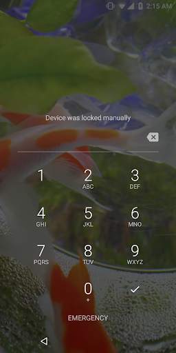 Goldfish Video Live Wallpaper screenshot 5
