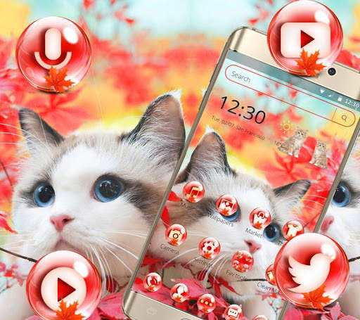 Tema Pink Cute Kitty screenshot 3