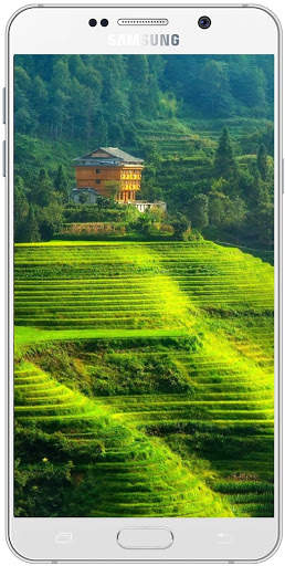 Beautiful Wallpaper HD screenshot 5