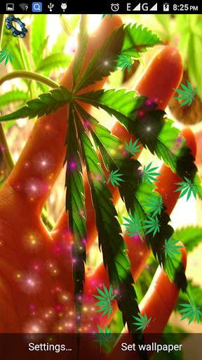 CBD Weed Live Wallpaper screenshot 1