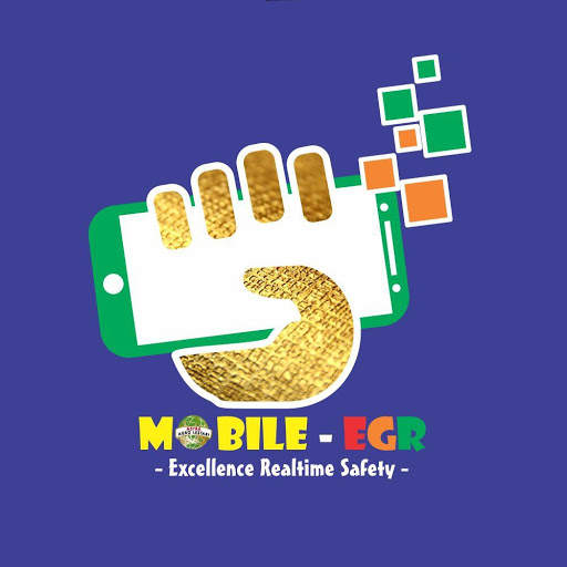 Mobile EGR screenshot 1
