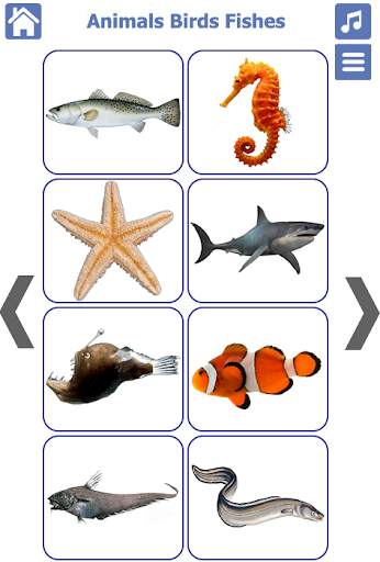 Animals Birds Fishes स्क्रीनशॉट 5