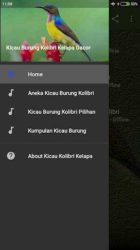 Suara Kolibri Kelapa Gacor screenshot 1