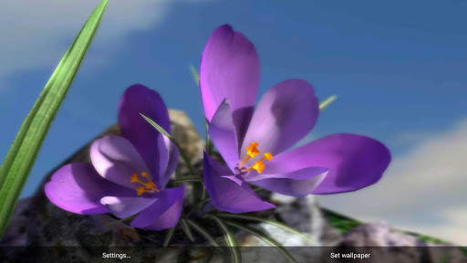 Nature Live ❁ Spring Flowers 3D screenshot 4