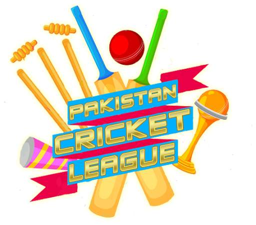 PSL 5 Cricket 2020: Pakistan Super League Season screenshot 4