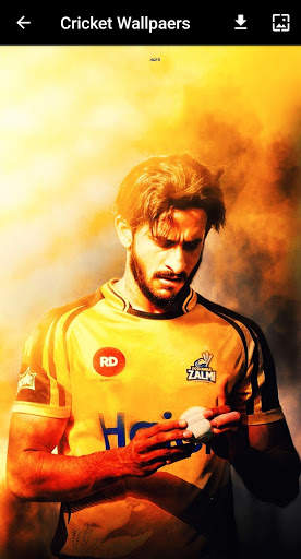 Cricket Wallpapers screenshot 3
