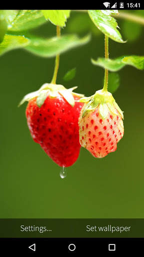 Red Strawberry Live Wallpaper screenshot 4