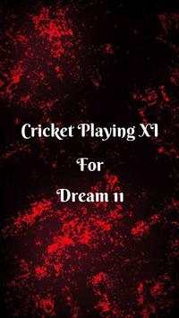 Cricket Playing 11 screenshot 1