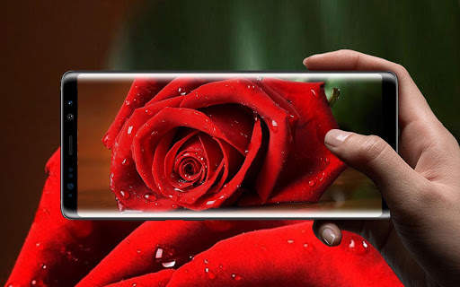 Beautiful Rose Free Live Wallpaper screenshot 9