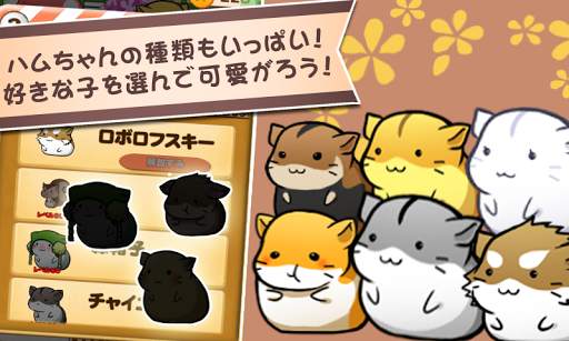 ハムスターライフ - 無料育成ゲーム screenshot 2