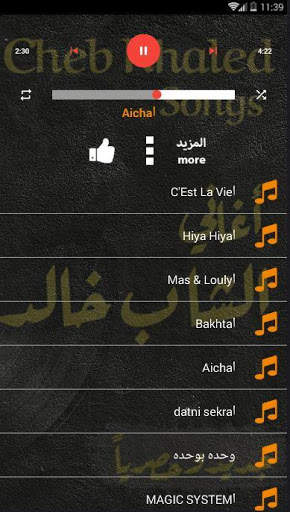 اغاني الشاب خالد 2019 بدون نت cheb khaled songs screenshot 2