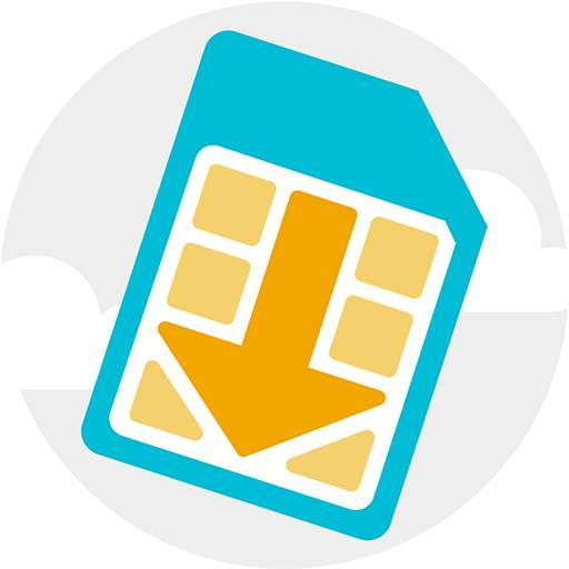 SIM Manager D.1.8.338360698-google