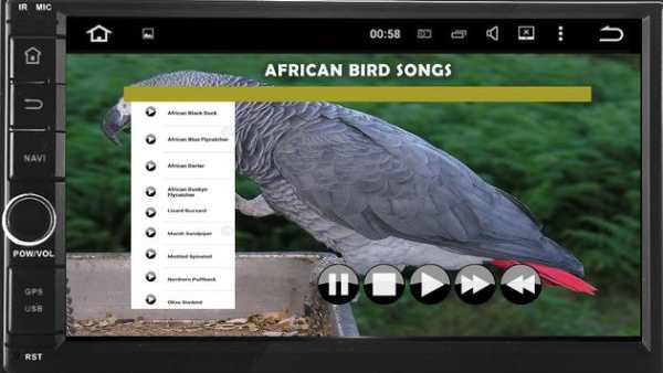 African Bird Songs screenshot 3