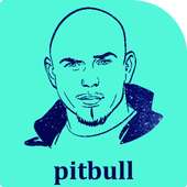pitbull mp3 2017