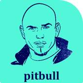 pitbull mp3 2017 1.0