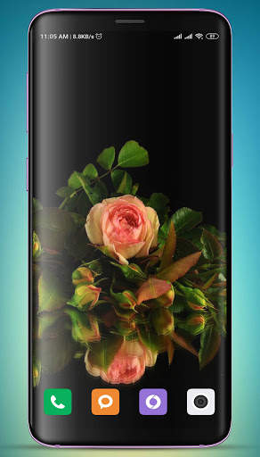 Rose Wallpaper HD screenshot 6
