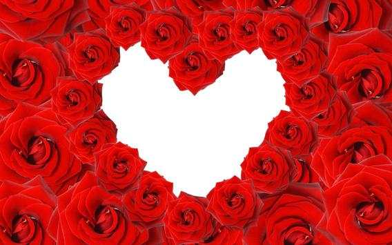 Valentine Camera screenshot 6