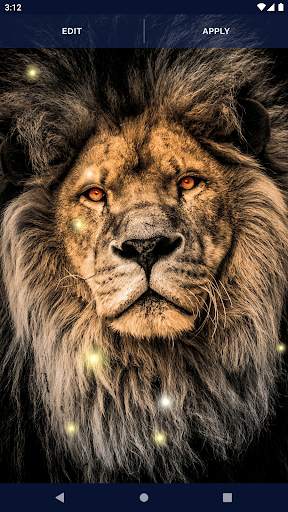 Brave Lion Live Wallpaper 7 تصوير الشاشة
