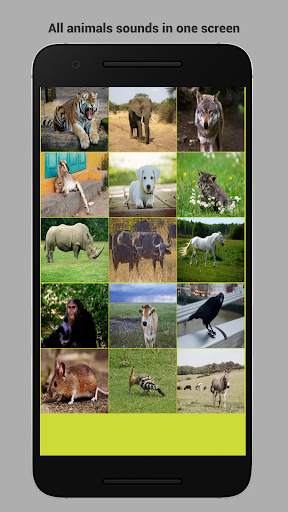 Animals sounds app for kids offline screenshot 2