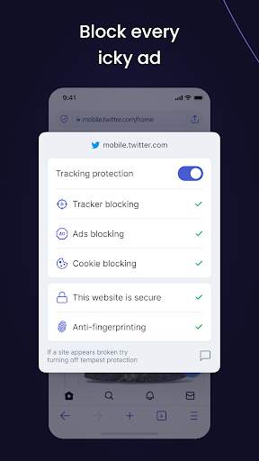 Tempest Secure Web Browser screenshot 4