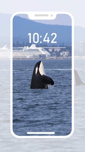 Orca Wallpapers screenshot 5