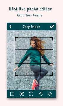 Live Birds Photo Editor : Cinamagraph Animation screenshot 1
