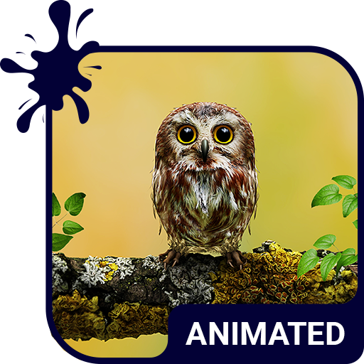 Baby Owl Animated Keyboard   Live Wallpaper icon