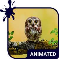 Baby Owl Animated Keyboard   Live Wallpaper icon