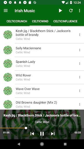 Irish Celtic Music Now screenshot 5