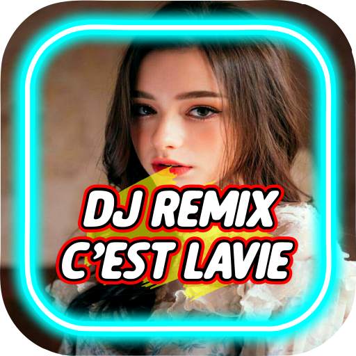 DJ Cest La Vie Remix 2020 screenshot 1