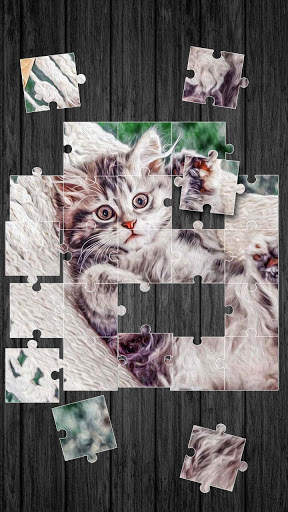 Cute Cats Jigsaw Puzzle screenshot 2
