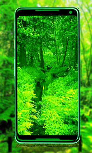 Green Nature New HD wallpaper: 4k Background image screenshot 2