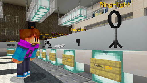 Streamer Simulator Mod For Minecraft screenshot 2