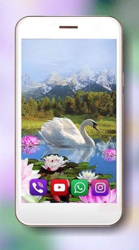 Lotus and Swan Live Wallpaper screenshot 1