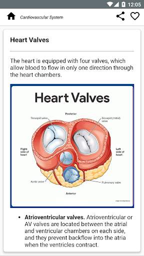 Human Anatomy and Physiology screenshot 6