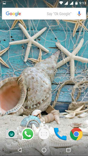 Still Life Wallpapers HD скриншот 2