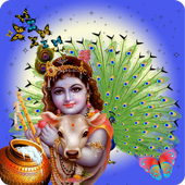 Janmashtami Photo Frame icon