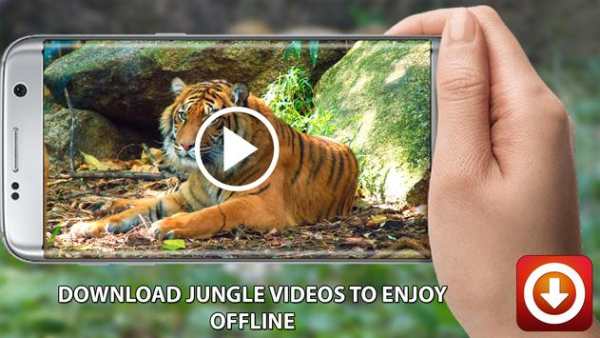 All Video Downloader HD- Music Player 2018 screenshot 2
