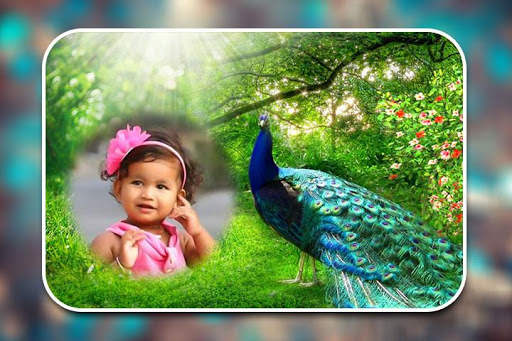 Peacock Photo Frames screenshot 7