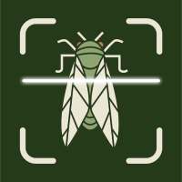 Insect Bug Identifier App logo