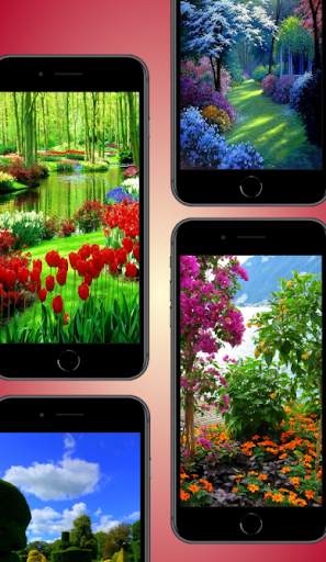 Garden Wallpaper screenshot 3