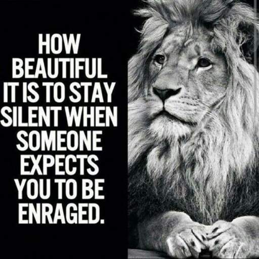 Motivational Quotes - Daily 10.50
