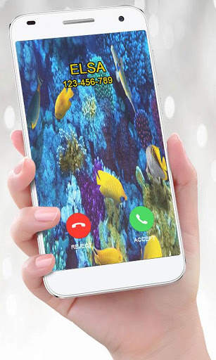 Full screen Video Ringtone for Incoming Calls screenshot 3