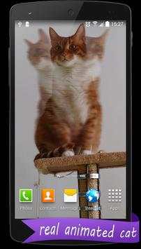 Live HD Cat Wallpaper screenshot 1