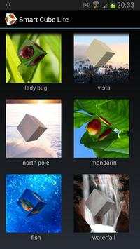 Smart Cube Lite screenshot 8