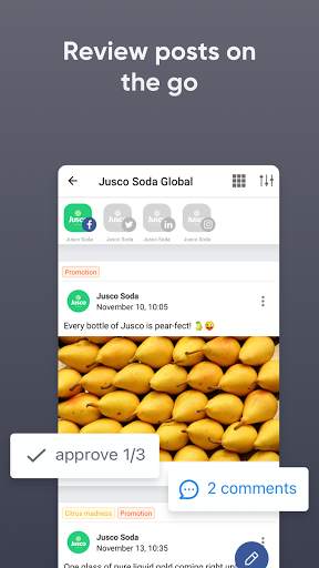 Planable Social Media Approval screenshot 4