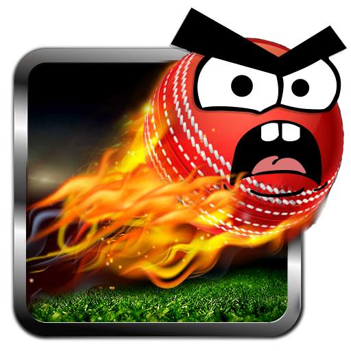 Cricket Game: Angry Style 1.4