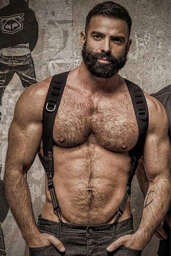 Gay Bear Wallpaper HD (LGBT Background) screenshot 1